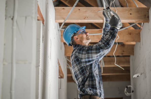 Best Generator Installation Services  in Ladonia, AL