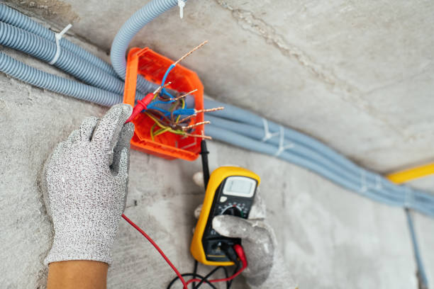 Best Electrical Repair Services  in Ladonia, AL